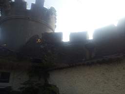 castlepark gate - 10280.jpg